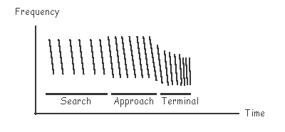 Feeding Sequence Spectrogram