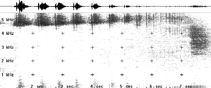 Time Expansion Spectrogram