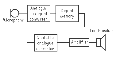 Time Expansion Bat Detector