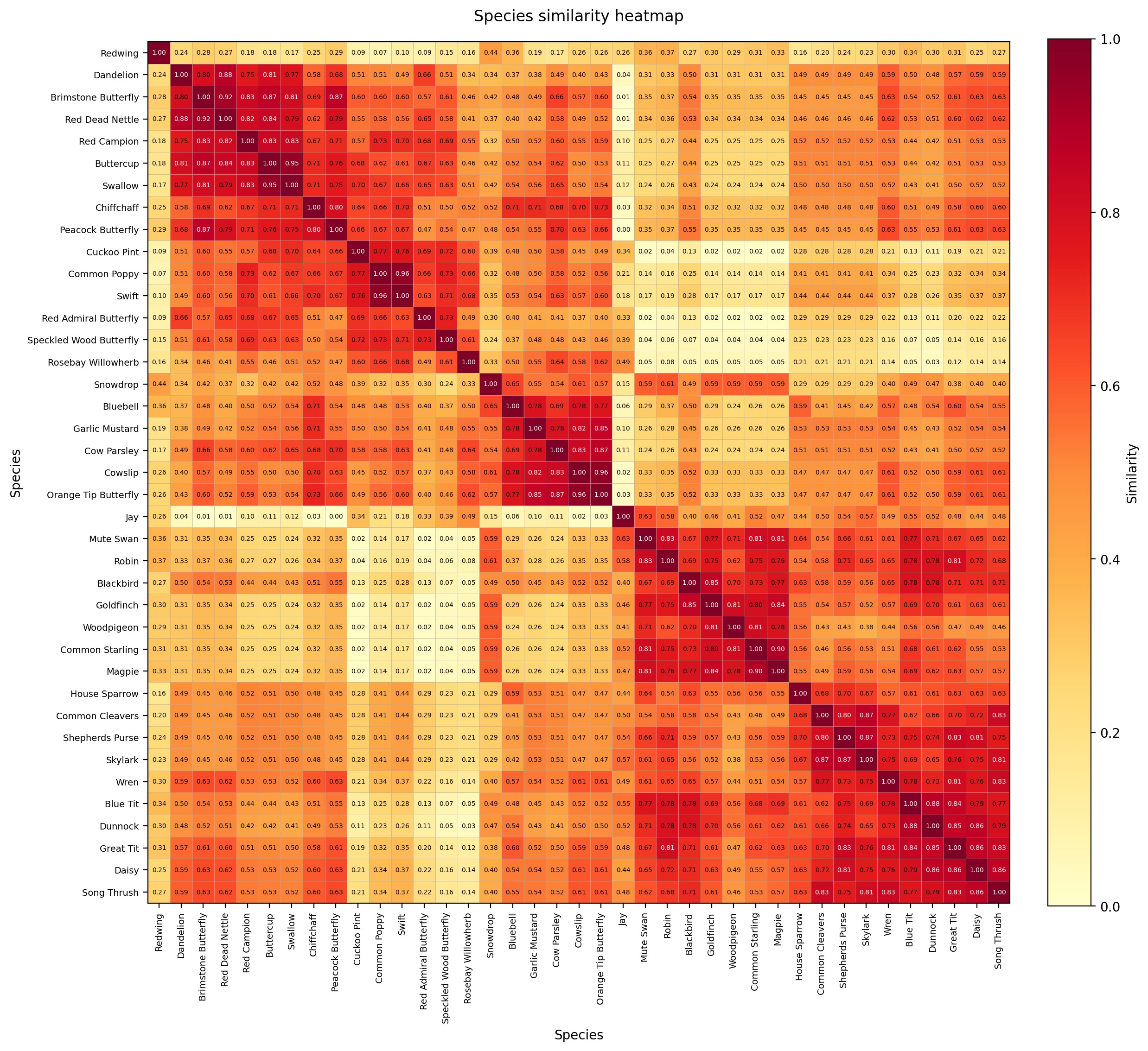 Species Similarity Heatmap