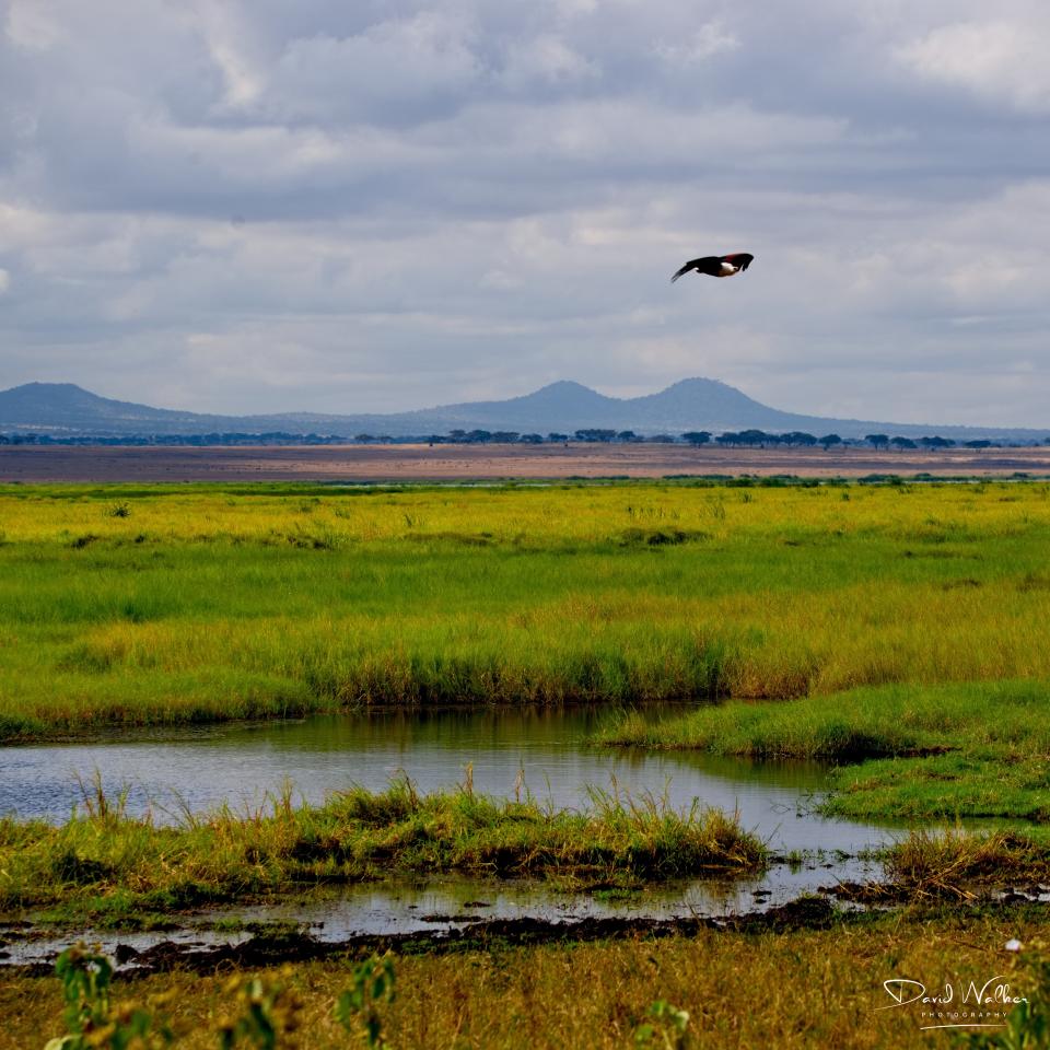 Tarangire National Park
