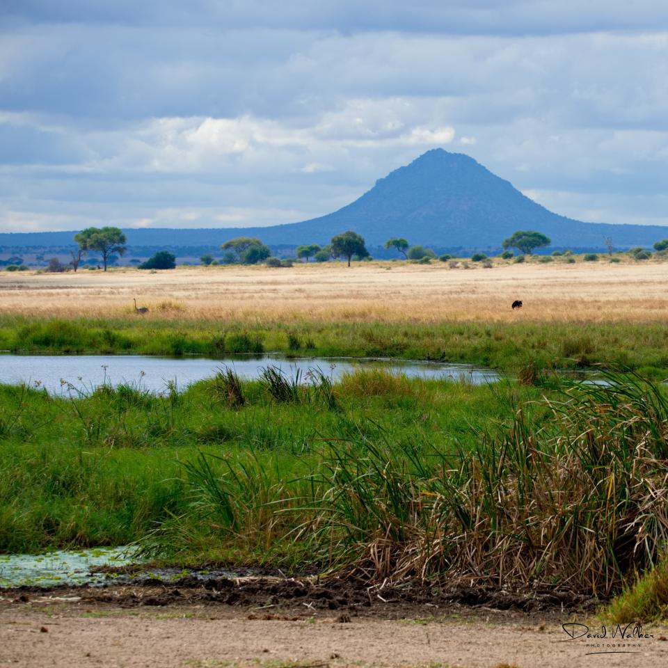 Tarangire National Park