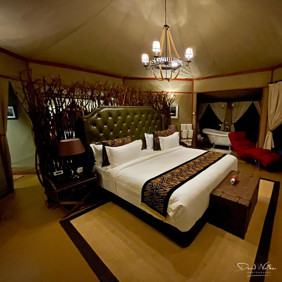 Tented Accommodation, Tarangire Kuro Treetops Lodge
