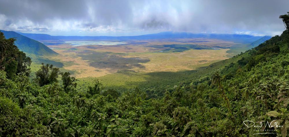 The Ngorongoro Crater, viewed from the crater rim