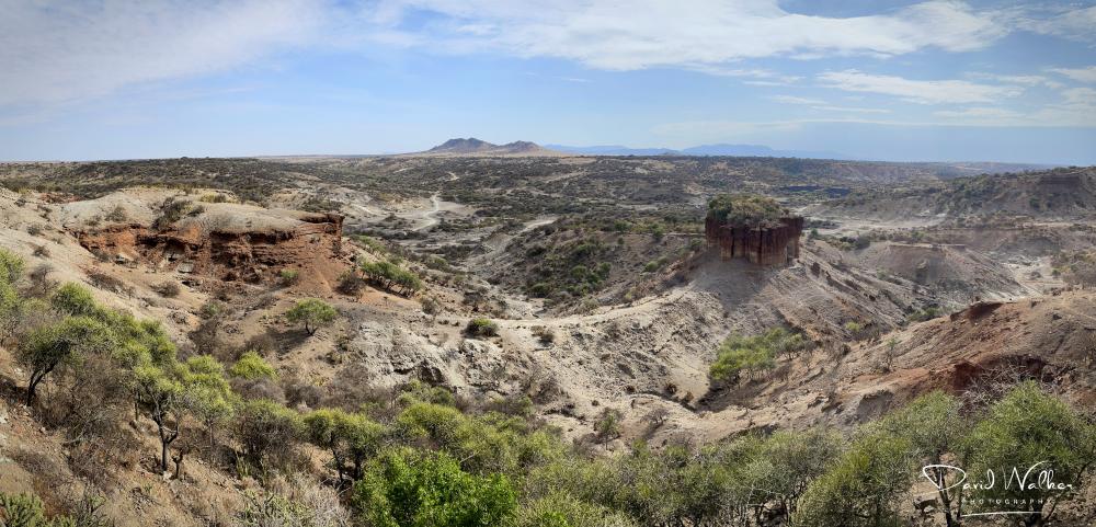 The Olduvai Gorge, Rift Valley, Tanzania, viewed from the rim