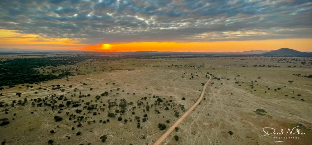 Road crossing the plains, Western Corridor