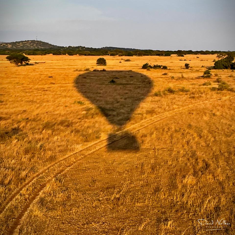 Coming in to land in the Western Serengeti